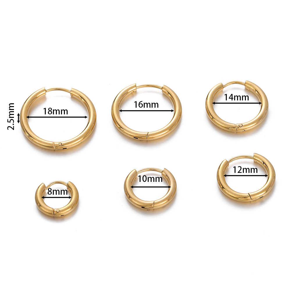 2個入り 8-18mm ステンレス製 丸型フープイヤリングパ - Hoop Earrings のレビューと価格